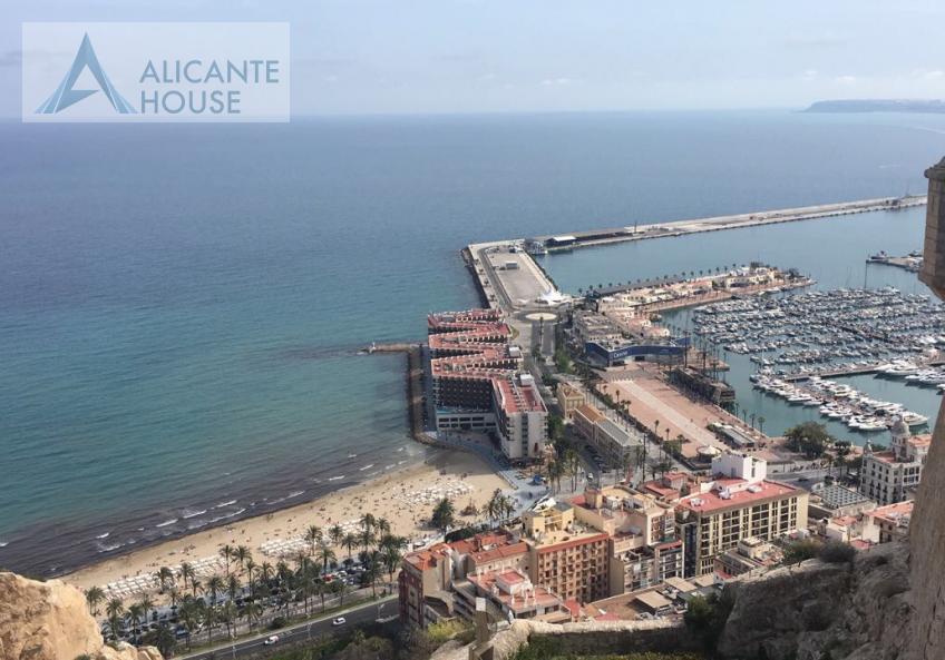Best panoramic view of the port in Alicante